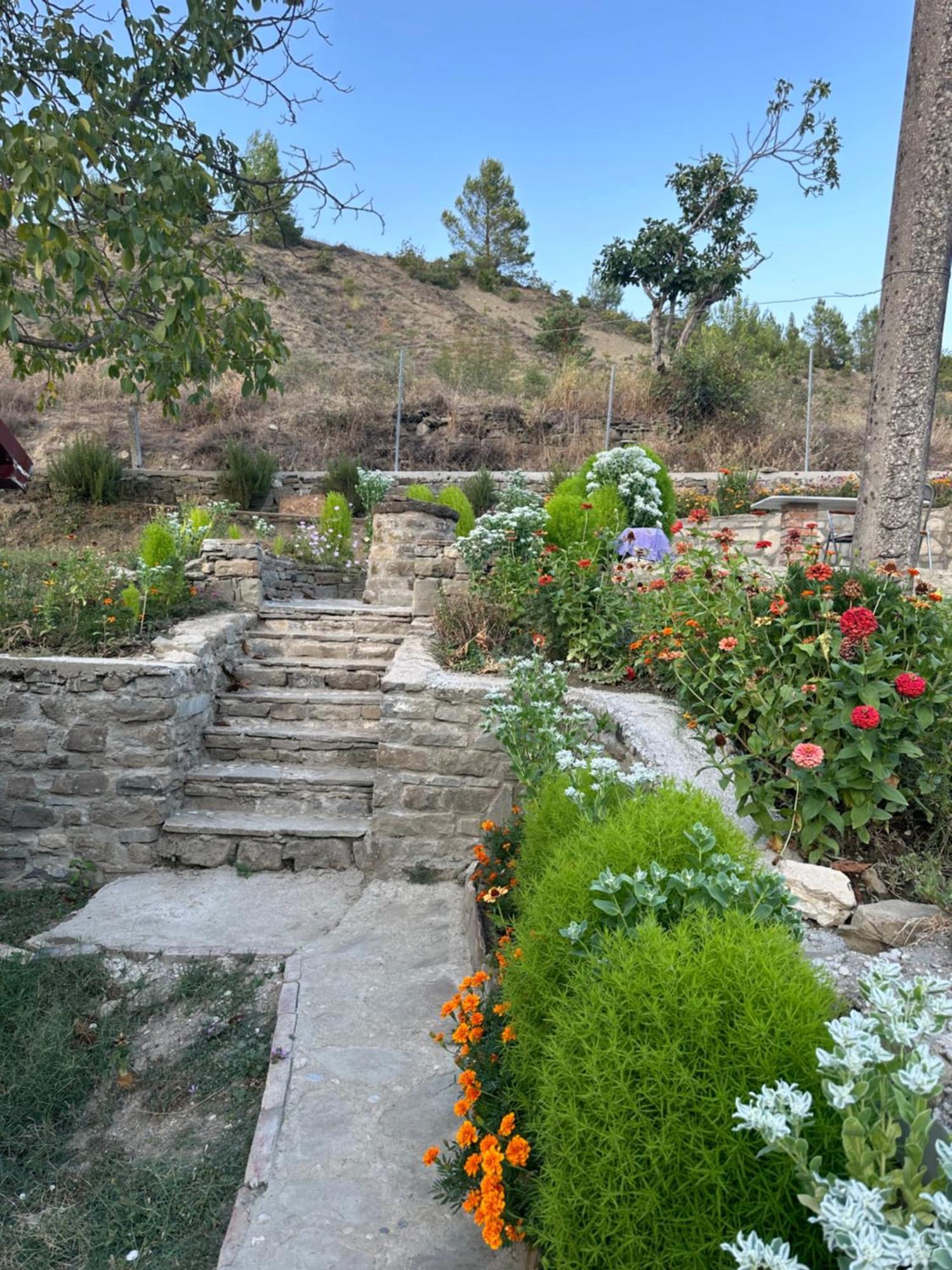 Villa Stone House à Kelcyre Extérieur photo