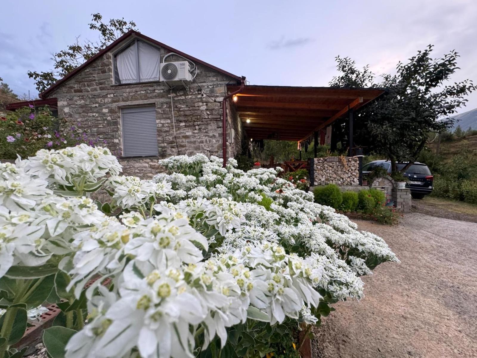 Villa Stone House à Kelcyre Extérieur photo